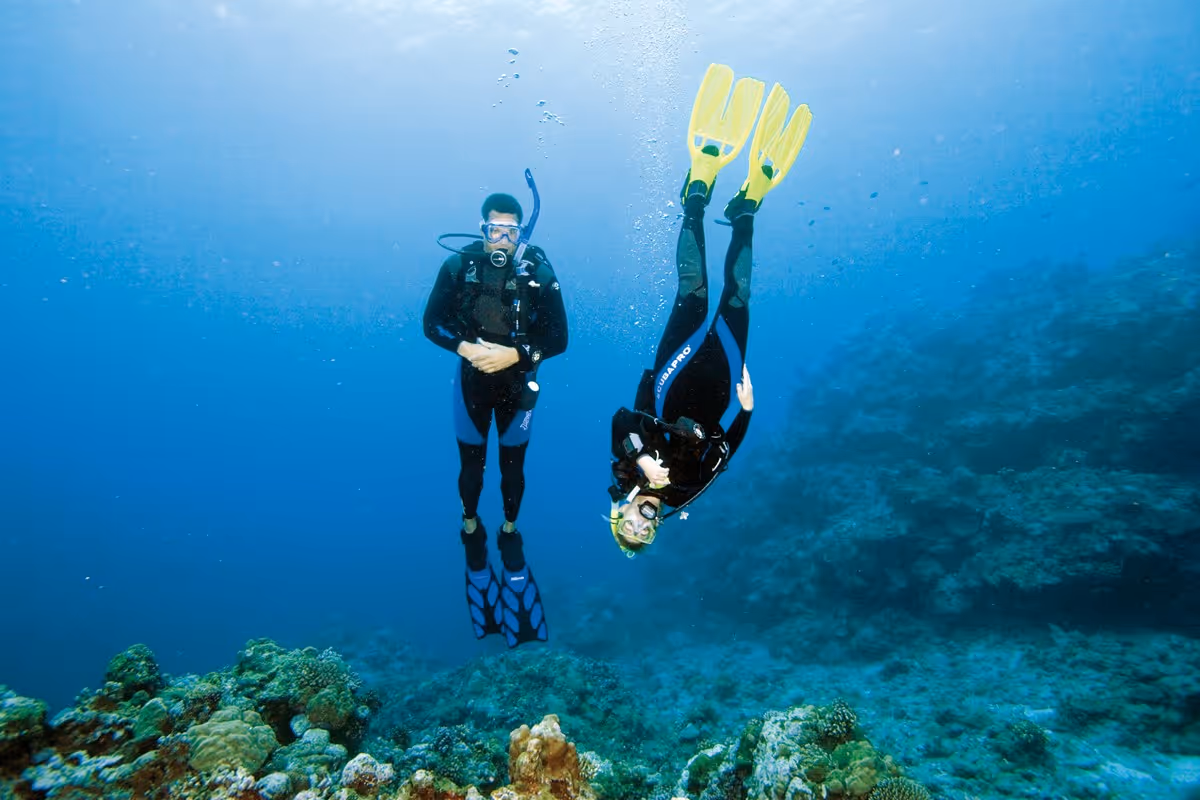 Photo to illustrate Refresher course