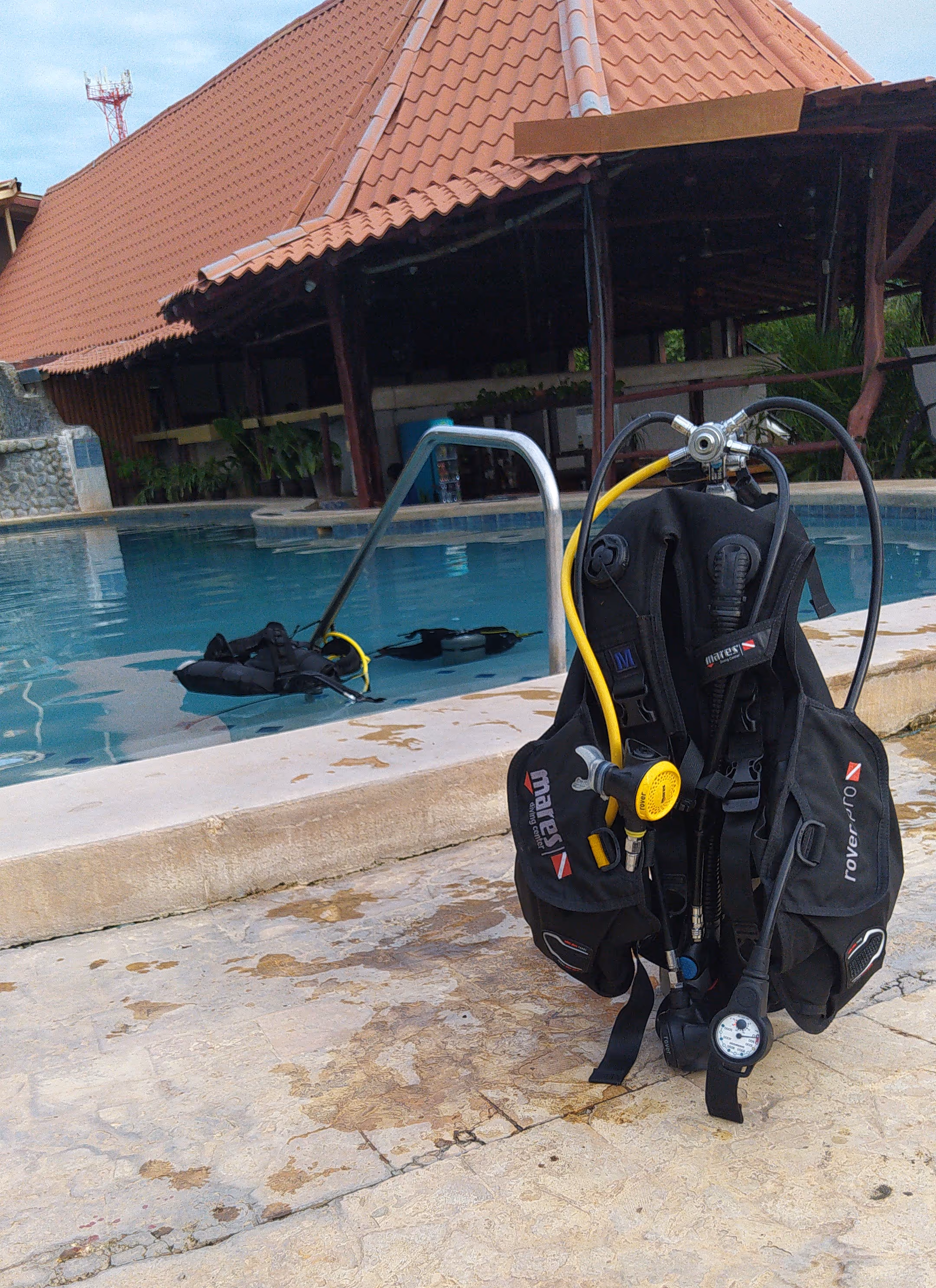 Underwater photographer capturing marine life at Catalinas Underwater photographer capturing marine life at Catalinas