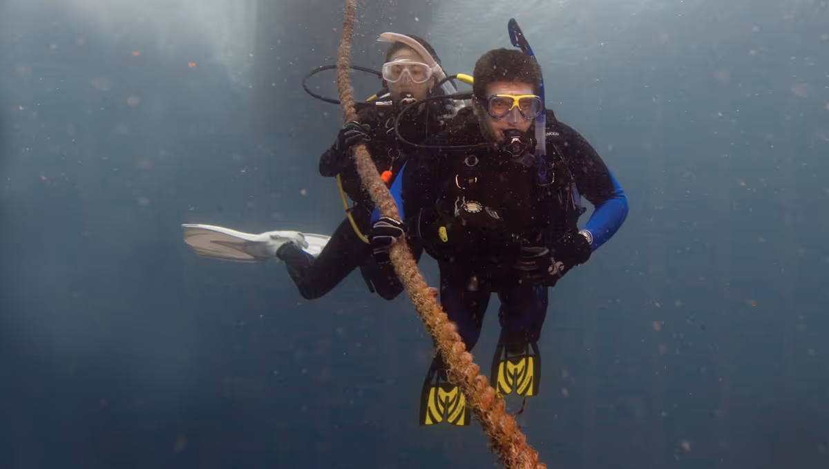 Photo to illustrate Two Fun Dives tour